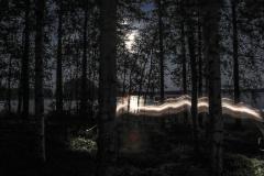 dark side of the moon (Pink Floyd)